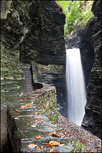 Copyright © www.ontdek-amerika.nl