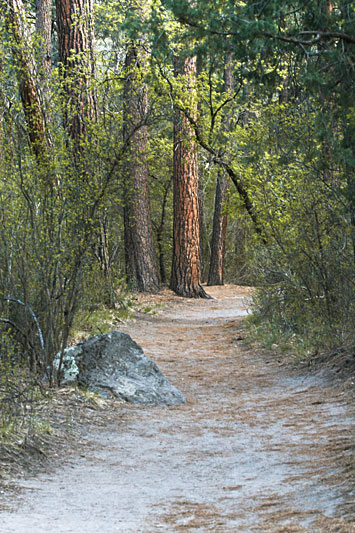 © copyright  hanz meulenbroeks