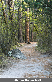 © copyright  hanz meulenbroeks