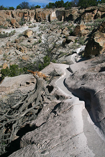 © copyright  hanz meulenbroeks