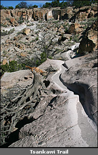 © copyright  hanz meulenbroeks