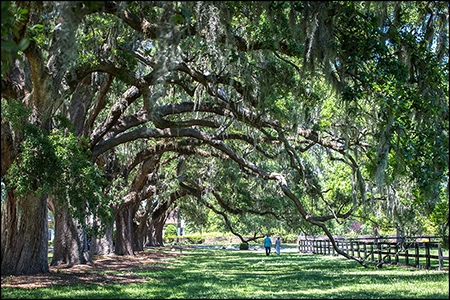 Copyright © www.ontdek-amerika.nl