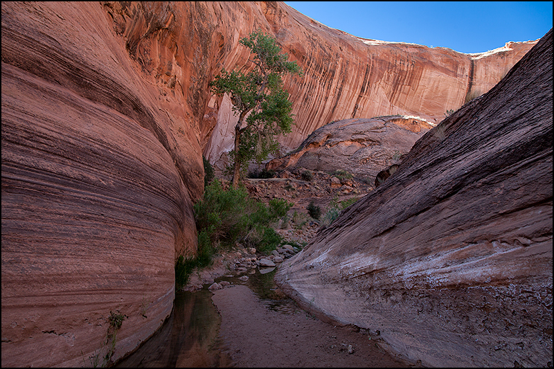 &copy; copyright www.ontdek-amerika.nl