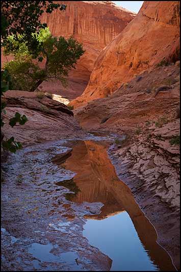 &copy; copyright www.ontdek-amerika.nl