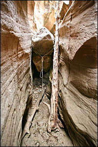 Bull Valley Gorge © copyright  hanz meulenbroeks