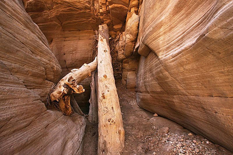 Bull Valley Gorge  copyright  hanz meulenbroeks