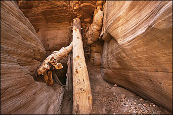 Bull Valley Gorge © copyright  hanz meulenbroeks