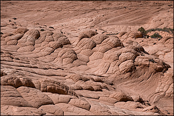 Copyright © www.ontdek-amerika.nl