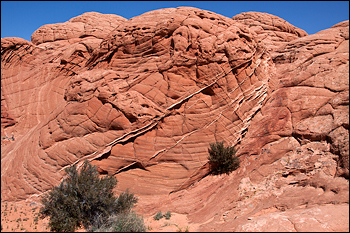 Copyright © www.ontdek-amerika.nl