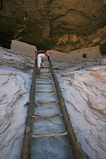 © hanz meulenbroeks