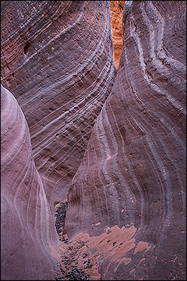 © copyright  www.ontdek-amerika.nl