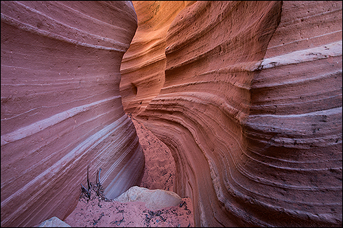 © copyright  www.ontdek-amerika.nl