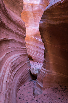 © copyright  www.ontdek-amerika.nl