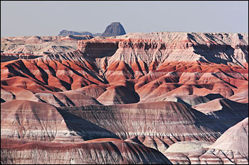 © copyright  hanz meulenbroeks