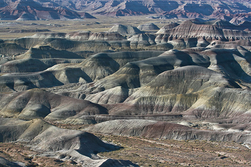 © copyright  hanz meulenbroeks