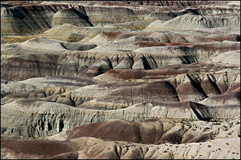 © copyright  hanz meulenbroeks