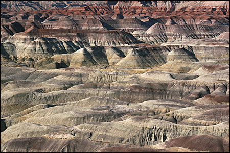 © copyright  hanz meulenbroeks