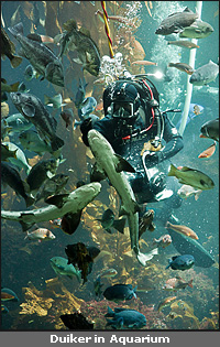 Copyright &copy; www.ontdek-amerika.nl