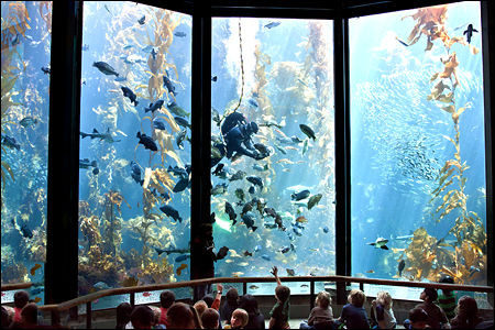 Copyright &copy; www.ontdek-amerika.nl