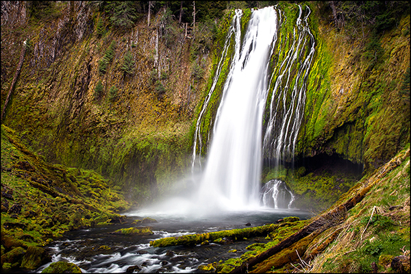 © copyright  www.ontdek-amerika.nl