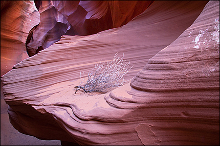 Copyright © www.ontdek-amerika.nl