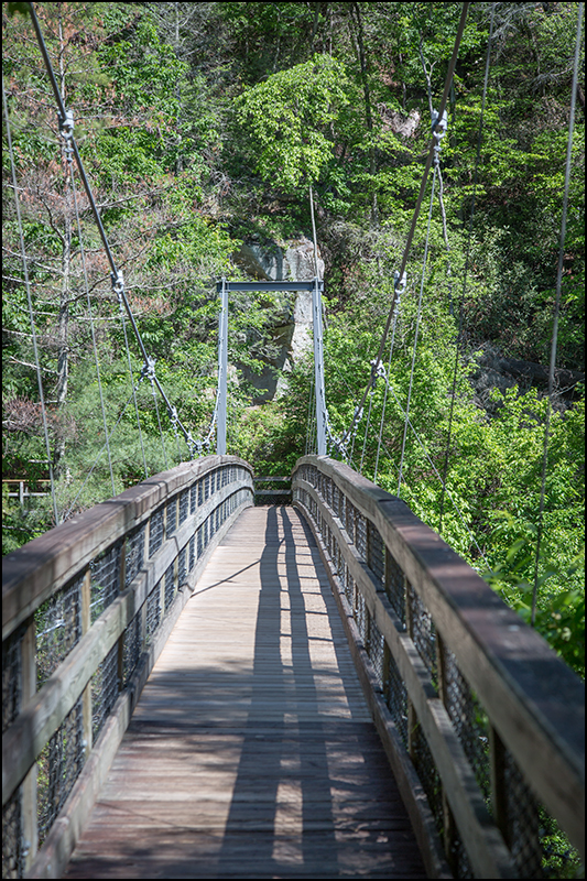 Copyright © www.ontdek-amerika.nl