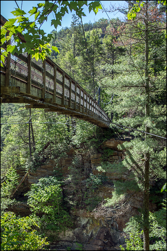 Copyright © www.ontdek-amerika.nl