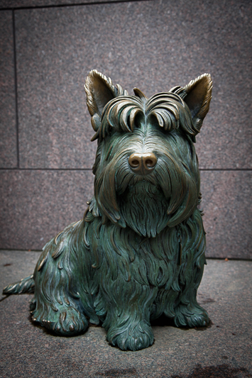 Copyright © www.ontdek-amerika.nl