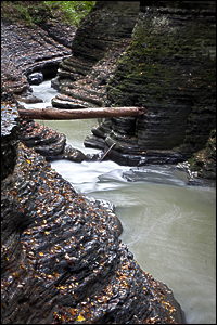 Copyright © www.ontdek-amerika.nl