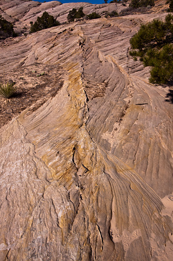 Copyright © www.ontdek-amerika.nl