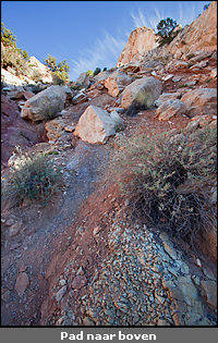 Copyright © www.ontdek-amerika.nl