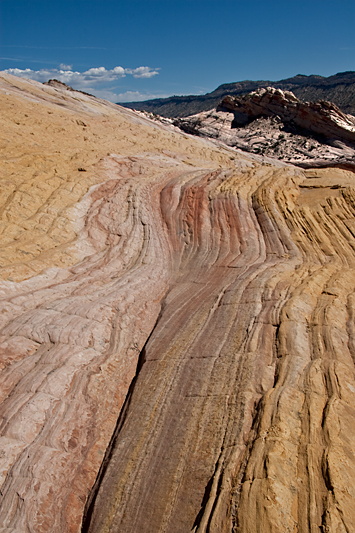 Copyright © www.ontdek-amerika.nl