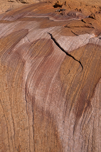 Copyright © www.ontdek-amerika.nl