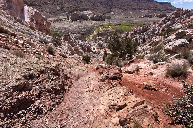 Copyright © www.ontdek-amerika.nl