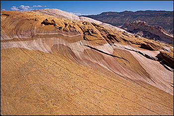 Copyright © www.ontdek-amerika.nl