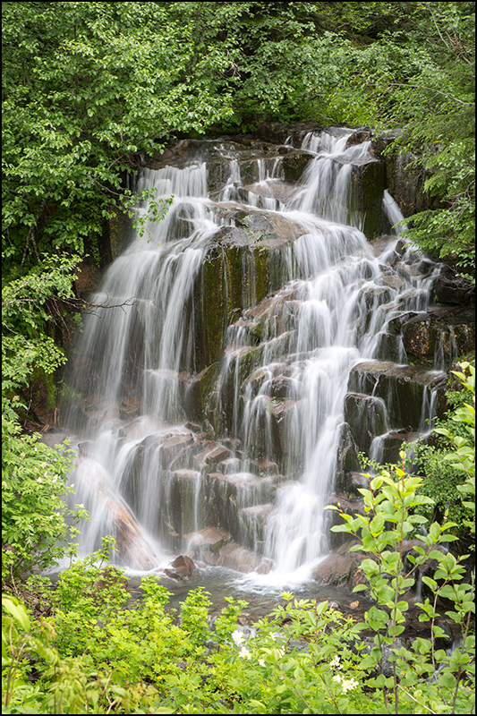 Mount Rainier National Park