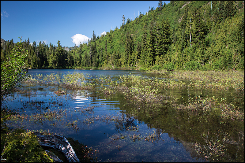 © copyright  www.ontdek-amerika.nl