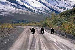  NPS copyright Kennan Ward