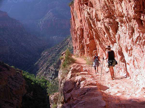 © Neil Jacklin http://arnica.csustan/edu/jacklin/North_Kaibab_Part1_1/index.htm