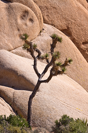 © copyright www.ontdek-amerika.nl