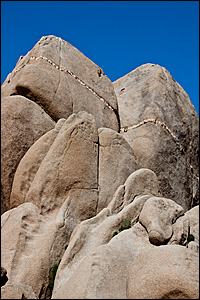 © copyright www.ontdek-amerika.nl