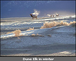 © nps.gov