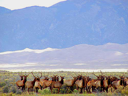 © copyright nps.gov