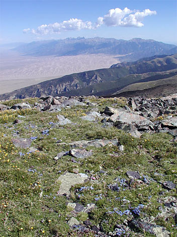 © copyright nps.gov