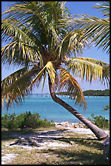 © key-biscayne.com