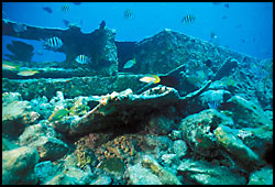 © nps.gov