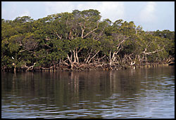 © nps.gov