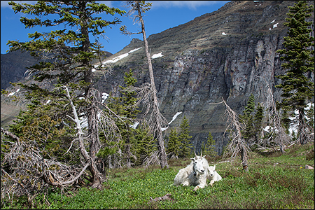 &copy; copyright  www.ontdek-amerika.nl