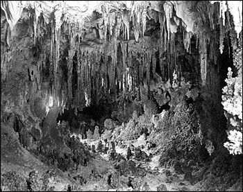 � W.T. Lee (usgs.com)