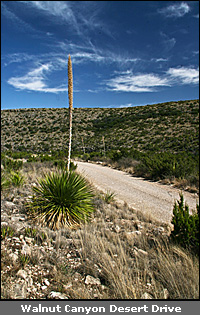 &copy; copyright hanz meulenbroeks